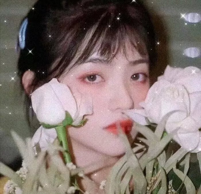 隔离但平等